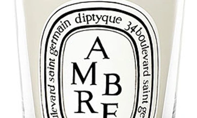 Shop Diptyque Ambre (amber) Scented Candle, 6.5 oz