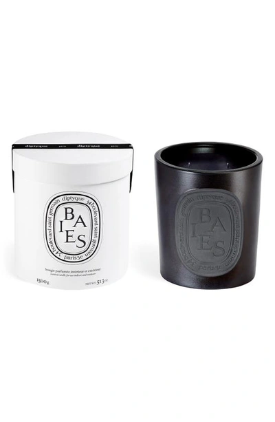 Shop Diptyque Baies (berries) Large Scented Candle, 10.2 oz In Black Vessel