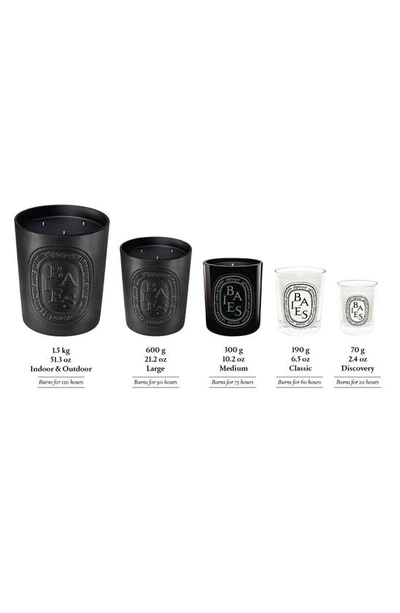 Shop Diptyque Baies (berries) Large Scented Candle, 10.2 oz In Black Vessel