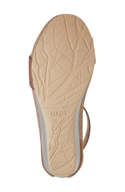 Naot 'pixie' Sandal In Maple Latte Leather