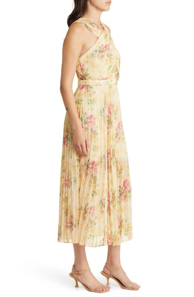 Shop Ted Baker Amerah Floral Pleated Midi Dress In Tan