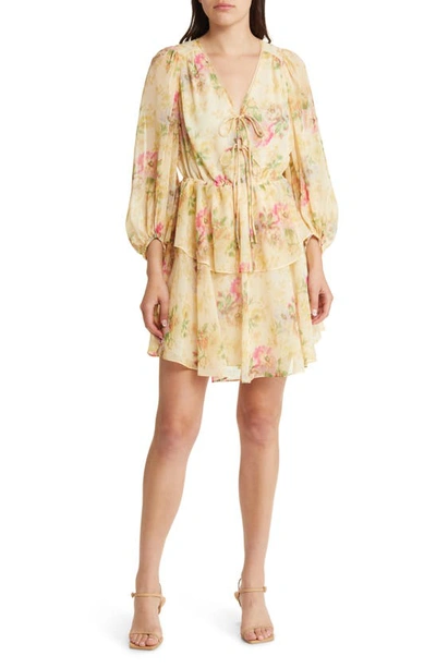 Shop Ted Baker Tamziiy Floral Dress In Tan