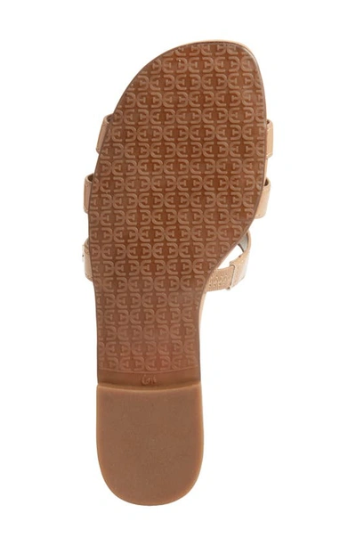 Sam Edelman Bay Cutout Slide Sandal In Almond