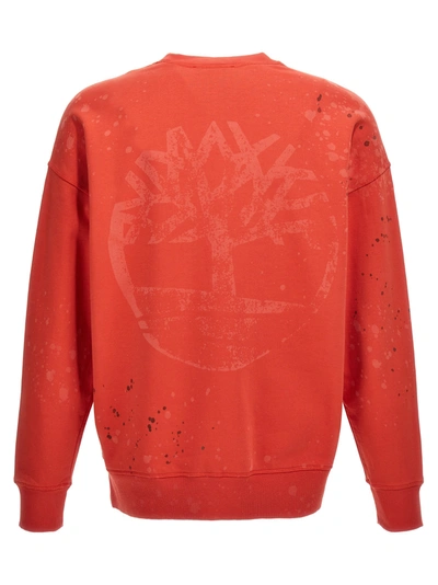 Shop A-cold-wall* Timberland  Capsule Sweatshirt Red