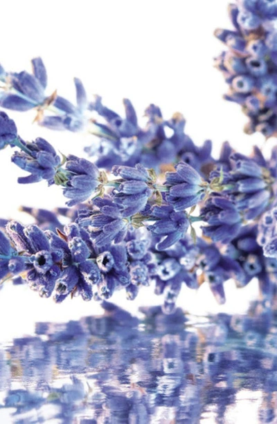 Guerlain Eau De Parfum 3.4 Oz. In No Color