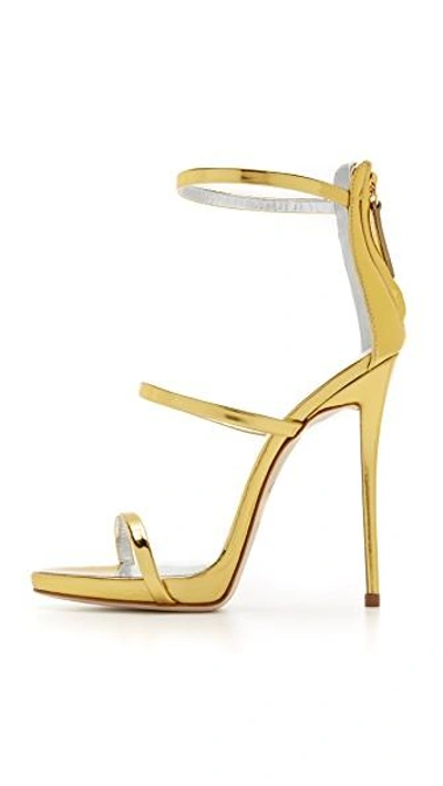 Shop Giuseppe Zanotti Strappy Sandals In Gold