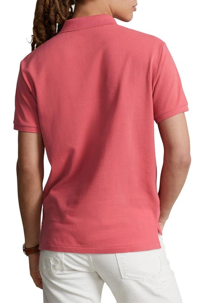 Shop Polo Ralph Lauren Cotton Polo In Red/ Blu Pp