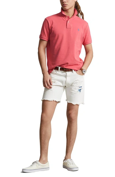 Shop Polo Ralph Lauren Cotton Polo In Red/ Blu Pp