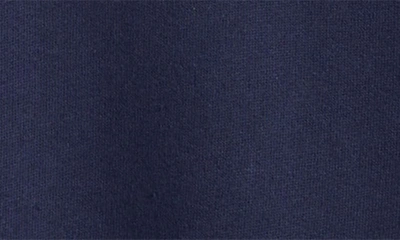 Shop Polo Ralph Lauren Seasonal Cotton Blend Fleece Hoodie In Navy