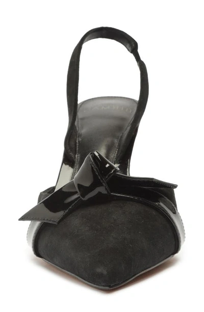 Shop Alexandre Birman Clarita Pointed Toe Slingback Pump In Black