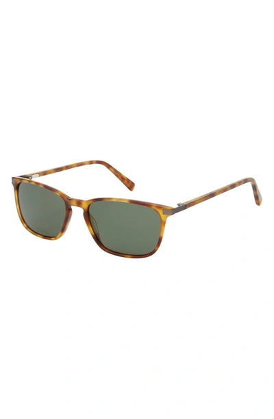 Ted Baker 55mm Polarized Rectangular Sunglasses In Tortoise