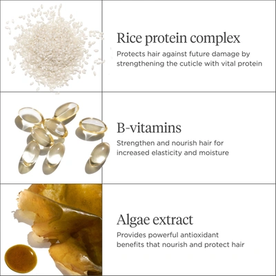 Briogeo Don't Despair, Repair! Rice Water Protein + Moisture Strengthening Hair Treatment For Dry + Damaged In Default Title