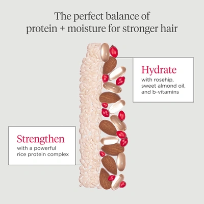 Briogeo Don't Despair, Repair! Rice Water Protein + Moisture Strengthening Hair Treatment For Dry + Damaged In Default Title