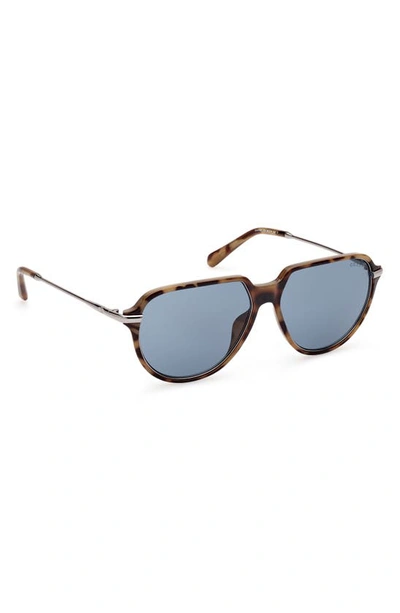 Shop Guess 56mm Aviator Sunglasses In Blonde Havana / Blue