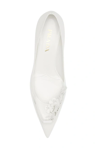 Shop Prada Bunny Flora Kitten Heel Pointed Toe Pump In White