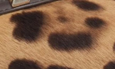 Shop Valentino Rockstud Genuine Calf Hair Pointed Toe T-strap Pump In Leopard Calf Hair