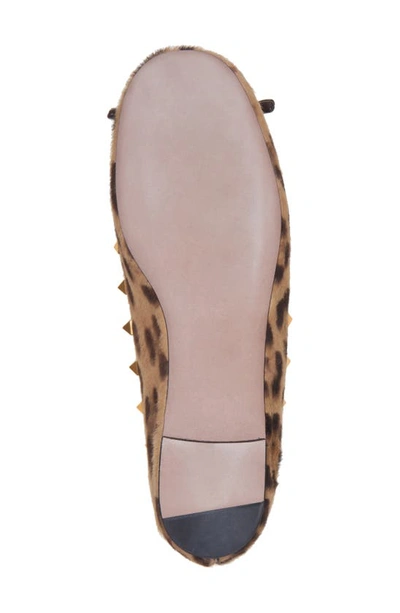 Shop Valentino Rockstud Genuine Calf Hair Ankle Strap Ballet Flat In Leopard Print Calf Hair