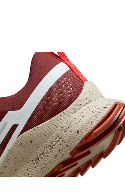 Shop Nike React Pegasus Trail 4 Running Shoe In Dark Pony/ Sail/ Red/ Fuchsia