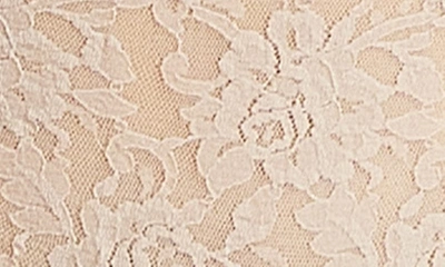 Hanky Panky Signature Lace High Waist Boyshorts In Chai