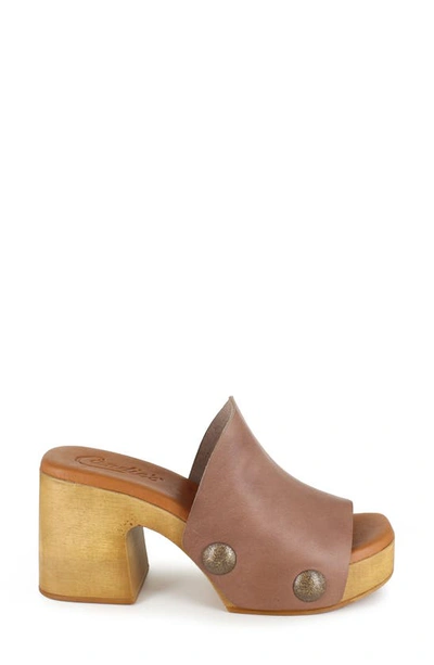 Shop Candies Candie's Fatima Platform Slide Sandal In Brown