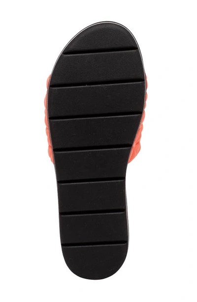 Linea Paolo Leah Slide Sandal In Orange