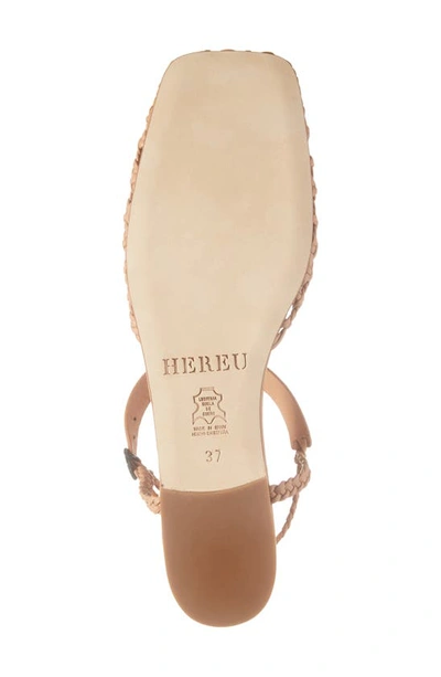 Shop Hereu Reixa Woven T-strap Sandal In Natural