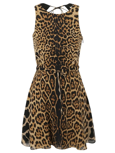 Shop Saint Laurent Halterneck Flare Dress In Leopard