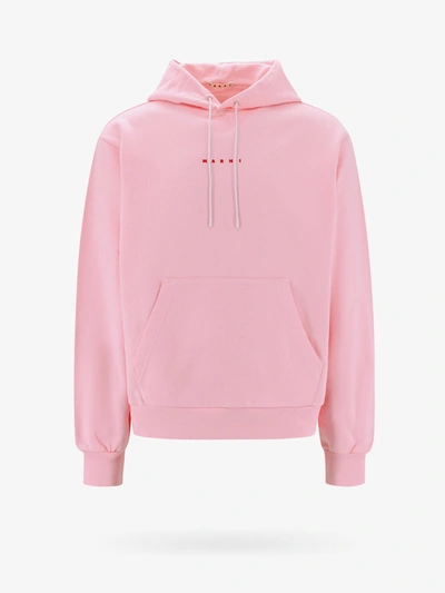 Shop Marni Sweatshirt In Pink