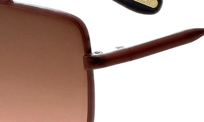 Shop Bcbg 60mm Metal Browline Cat Eye Sunglasses In Demi