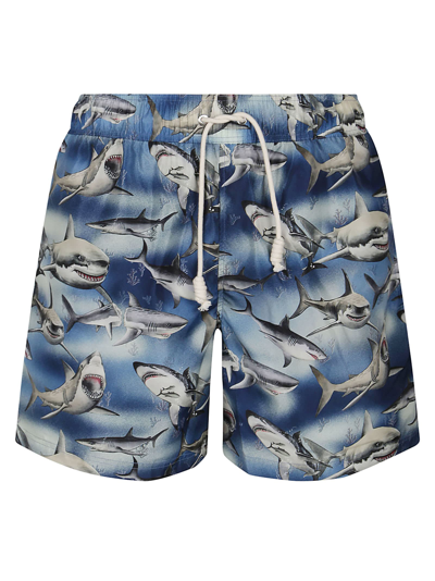 Shop Palm Angels Sharks Swimshort In Blue Black