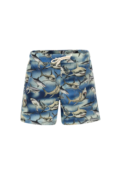 Shop Palm Angels Sharks Swimsuit In Blue