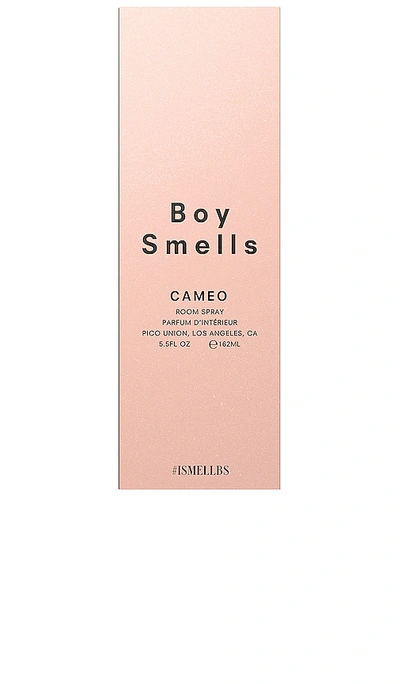 Shop Boy Smells Cameo Room Spray