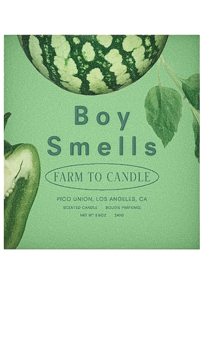 Shop Boy Smells Farm To Candle Rinder Scented Candle