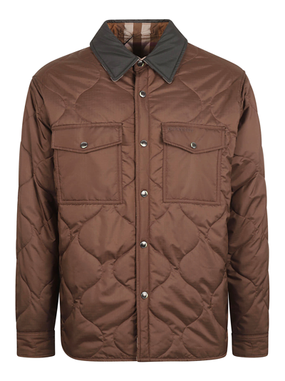 Shop Burberry Collam Jacket In Dark Truffle Brown