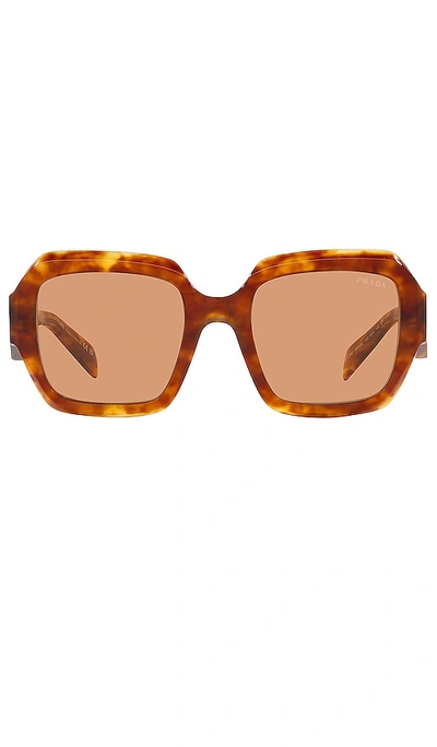 Prada Woman Sunglass Pr 28zs In Brown