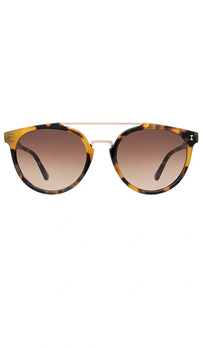 Shop Illesteva Puglia Sunglasses In Brown