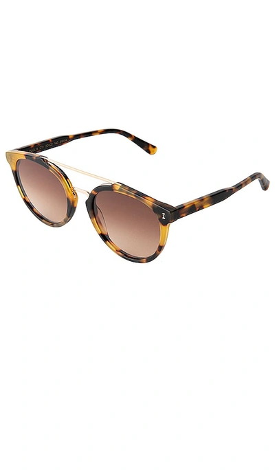 Shop Illesteva Puglia Sunglasses In Brown