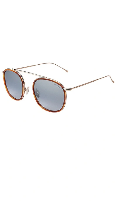 Shop Illesteva Mykonos Ace Sunglasses In Brown