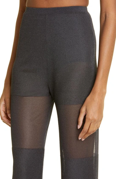 Lapointe Paneled Sheer Mesh Pants In Black