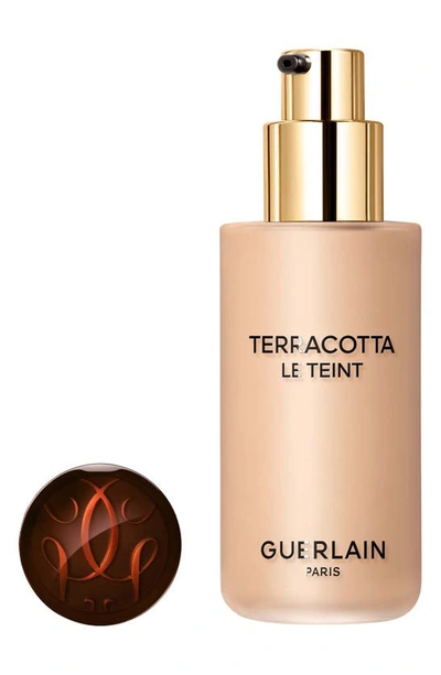 Shop Guerlain Terracotta Le Teint Healthy Glow Foundation In 2.5n Neutral