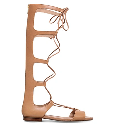 Shop Michael Michael Kors Sofia Leather High-leg Gladiator Sandals In Tan