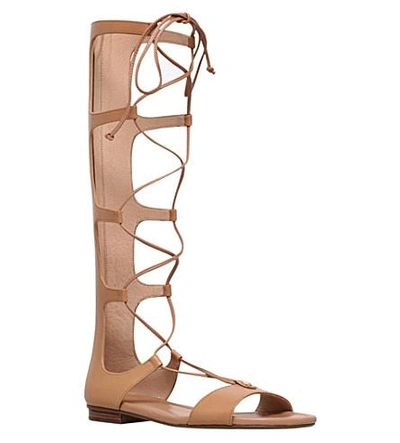 Shop Michael Michael Kors Sofia Leather High-leg Gladiator Sandals In Tan