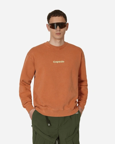 Shop Capsule Classic Logo Crewneck Sweatshirt Rust In Orange