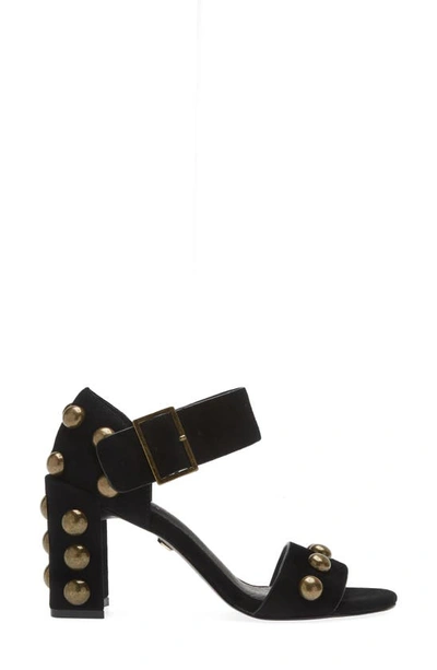 Shop Cecelia New York Gail Stud Sandal In Black Suede