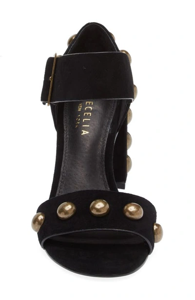 Shop Cecelia New York Gail Stud Sandal In Black Suede