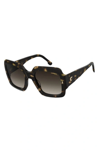 Shop Carrera Eyewear 54mm Gradient Rectangular Sunglasses In Havana/ Brown Gradient