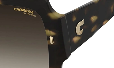 Shop Carrera Eyewear 54mm Gradient Rectangular Sunglasses In Havana/ Brown Gradient