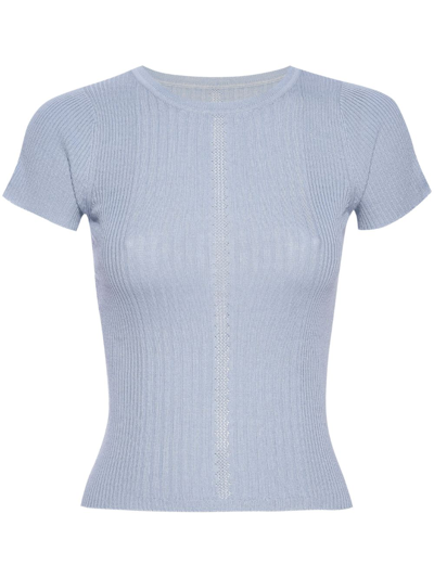 Rta Crew-neck Ribbed-knit Silk Top In Blue