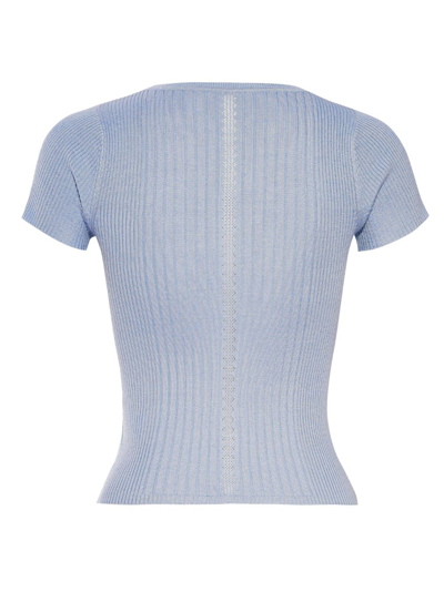 Rta Crew-neck Ribbed-knit Silk Top In Blue