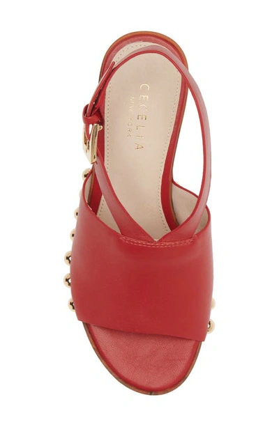 Shop Cecelia New York Amber Platform Wedge Sandal In Red